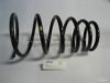 DAEWOO 96207571 Coil Spring